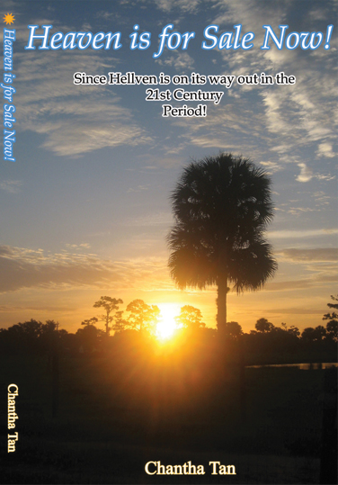 Heaven is For Sale Now! Book Cover